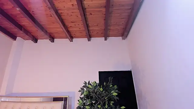 im sebaslopez online show from 17, 1, 2026