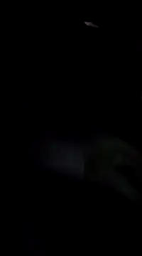 Eva Florence online show from 19, 2, 2025