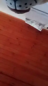 Snapshot of Darly_Gomez chatting on 31, 12, 2024 Darly Gomez online show from 31, 12, 2024