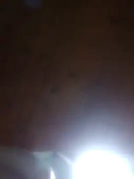 Snapshot of Darly_Gomez chatting on 23, 3, 2025 Darly Gomez online show from 23, 3, 2025