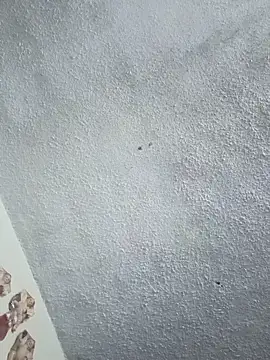 Darly Gomez online show from 31, 1, 2026