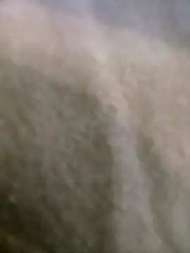 houy111111 online show from 9, 1, 2026