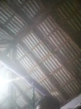 Feli230990 online show from 8, 4, 2026