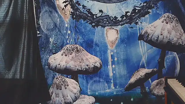  hellostormy  online show from 16, 2, 2026