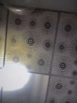 Snapshot of adam-rivera chatting on 1, 10, 2025 adam-rivera online show from 1, 10, 2025