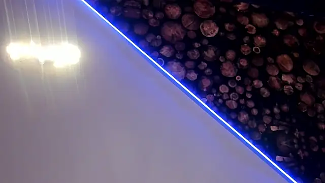 Snapshot of ArtemisaBlake chatting on 20, 3, 2025 ArtemisaBlake online show from 20, 3, 2025