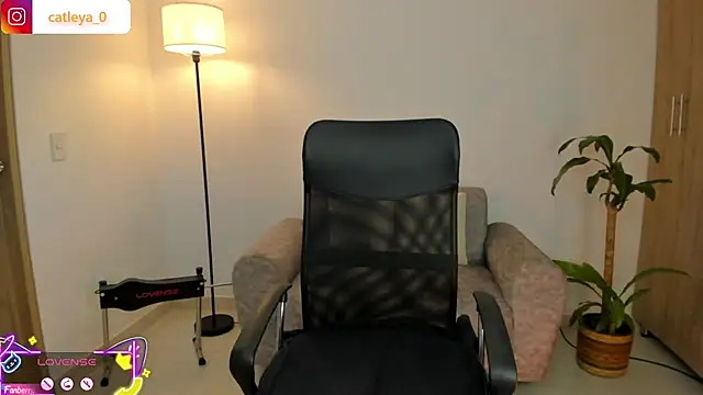 Snapshot of catleya_0 chatting on 15, 2, 2026 catleya 0 online show from 15, 2, 2026