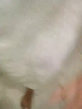 Bombi22 online show from 30, 12, 2024