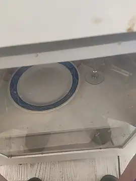 lunaxxxtreme online show from 11, 11, 2025