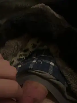 hamoo23p online show from 22, 2, 2026