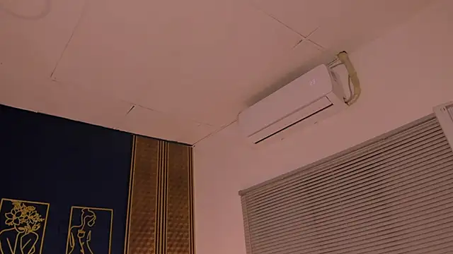  dakota a online show from 21, 1, 2025