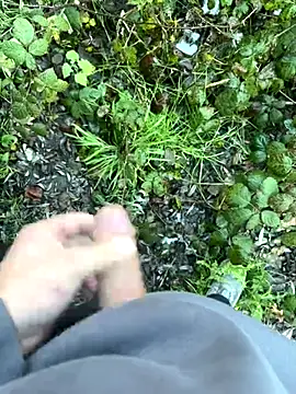 BobMeinster online show from 21, 11, 2025