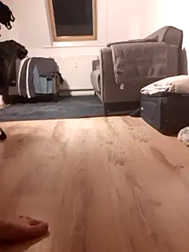 TransEVA34 online show from 22, 1, 2025