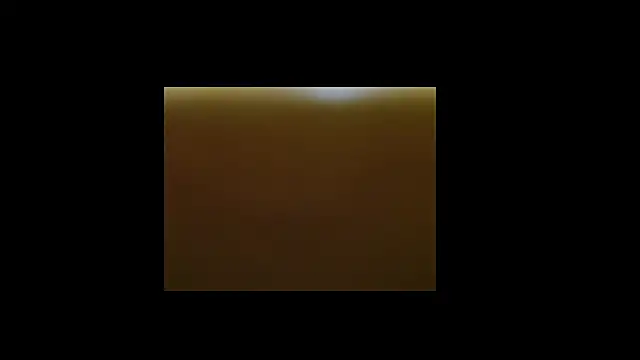 berberson online show from 30, 12, 2024