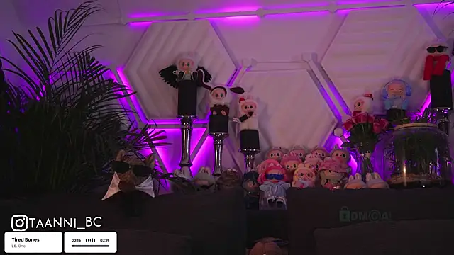 taanni bc online show from 21, 10, 2025