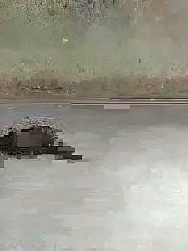 teluguu-rajj online show from 27, 10, 2025