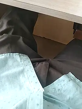 teluguu-rajj online show from 27, 11, 2025