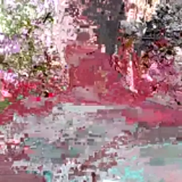 Kaizer1 online show from 26, 10, 2025