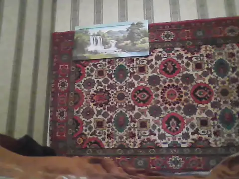 Snapshot of AlferezzSolvajo chatting on 21, 11, 2025 AlferezzSolvajo online show from 21, 11, 2025