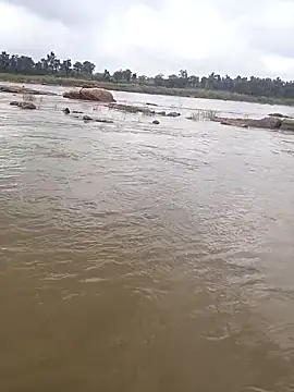 aryan 8051 online show from 29, 10, 2025