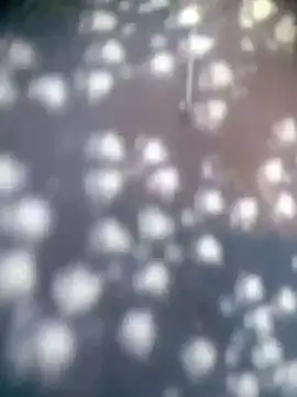 Amaya Bajwa online show from 15, 11, 2025