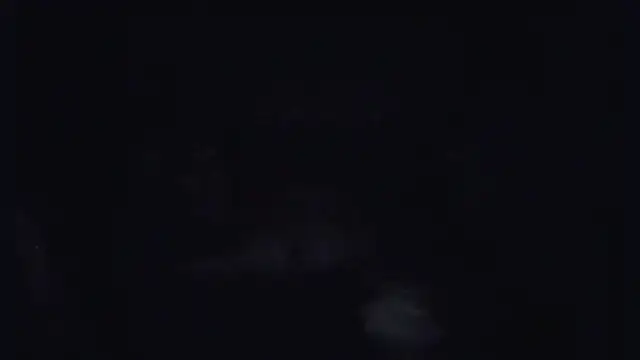 Snapshot of ParaFox chatting on 14, 9, 2025 ParaFox online show from 14, 9, 2025