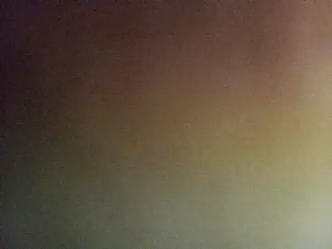 Lauren Amabel online show from 6, 11, 2025