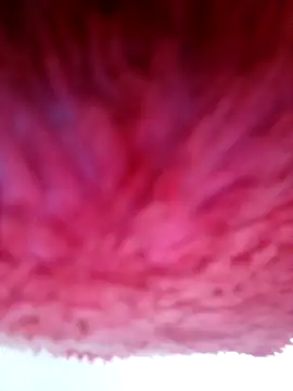 Samara-Bella online show from 6, 1, 2026