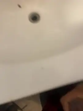 elmer067 online show from 4, 2, 2026