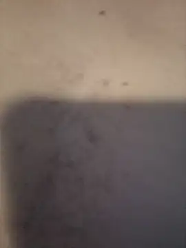 dany hardy online show from 24, 3, 2026