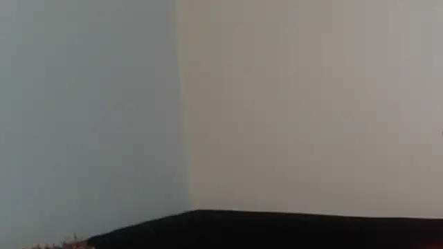 Snapshot of hairyncuteass chatting on 13, 2, 2025 hairyncuteass online show from 13, 2, 2025