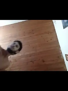 nxus77 online show from 15, 12, 2025