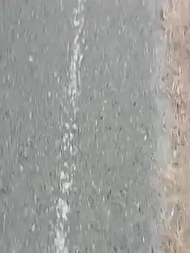 Jinenez online show from 27, 2, 2025