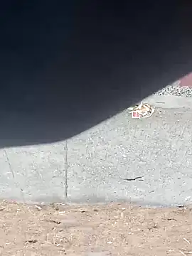 Jinenez online show from 16, 3, 2025