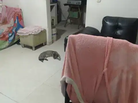 Yohis Kiut25 online show from 25, 2, 2025