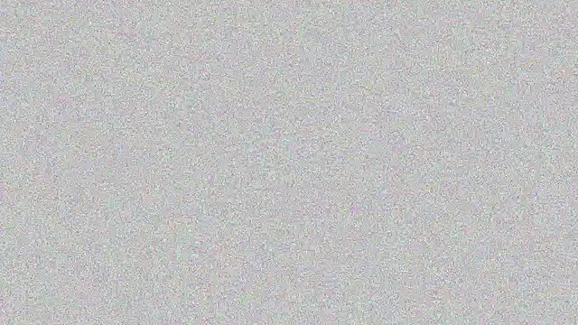 Elsa-bad online show from 22, 2, 2025