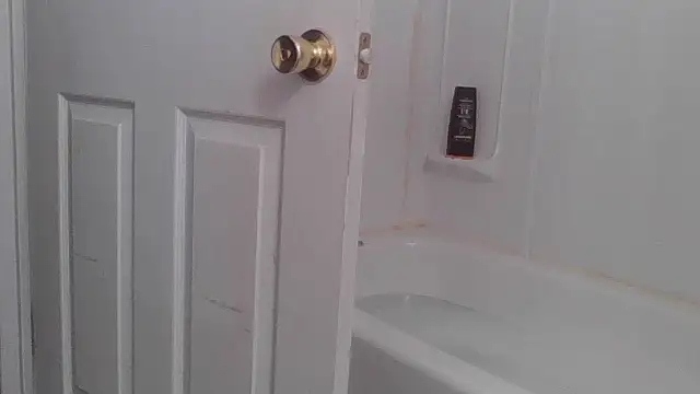 Snapshot of yourcourage1 chatting on 11, 10, 2025 yourcourage1 online show from 11, 10, 2025