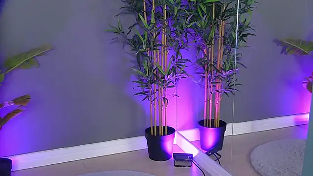 PatriciaSpice online show from 8, 10, 2025