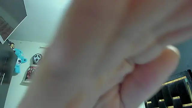 DanteAndKyle online show from 17, 3, 2026