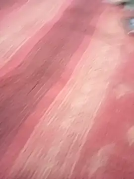 bdmaksuda1 online show from 21, 3, 2025