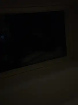 wyattstone online show from 20, 2, 2026