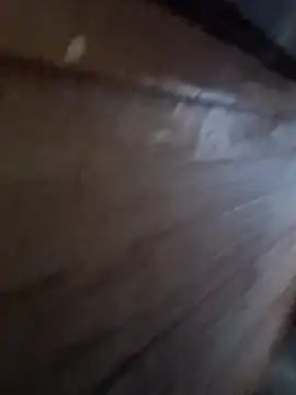 Raj41 online show from 6, 1, 2026