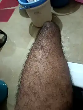 Royyy dandol online show from 21, 1, 2025