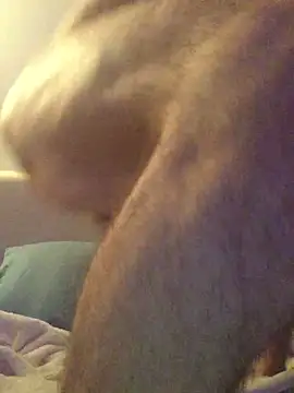 Pilote19 online show from 1, 12, 2025