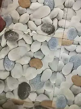 Playboy bhabhi 00 online show from 8, 2, 2025