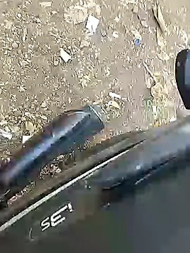 Playboy bhabhi 00 online show from 8, 2, 2025