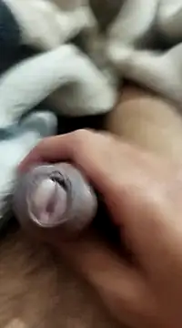 Playboy bhabhi 00 online show from 9, 2, 2025