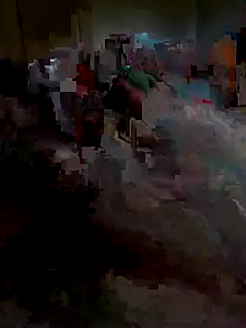 Ariba270 online show from 1, 11, 2025