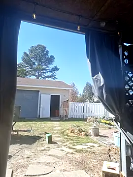 thickdaddy2982 online show from 3, 3, 2025