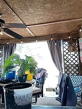 thickdaddy2982 online show from 15, 3, 2025